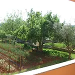 Apartmán In Pula- Kroatien Mit Hohen Gaestebewertungen By Interhome *