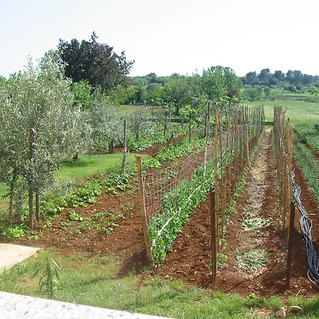 In Pula- Kroatien Mit Hohen Gaestebewertungen By Interhome * Pola