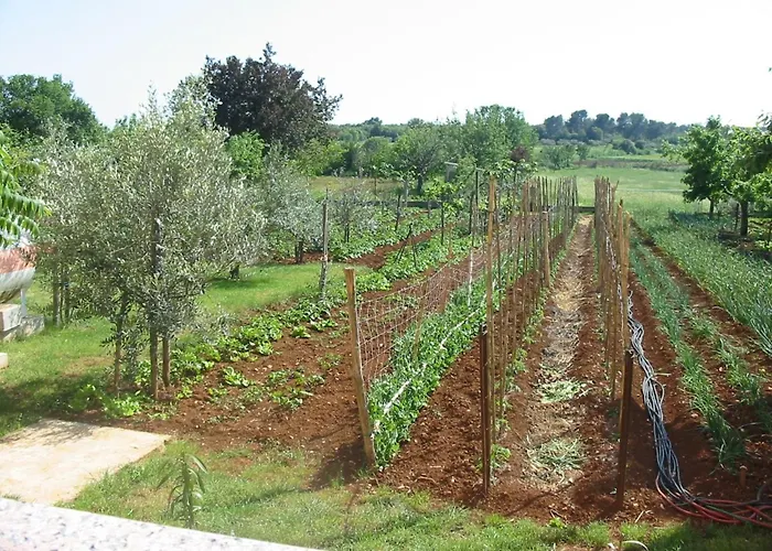 In Pula- Kroatien Mit Hohen Gaestebewertungen By Interhome * Pula