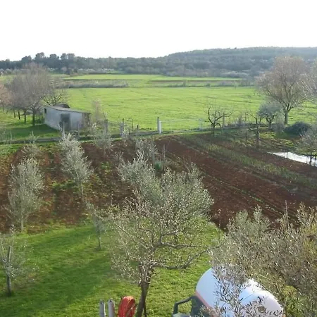 In Pula- Kroatien Mit Hohen Gaestebewertungen By Interhome Apartament