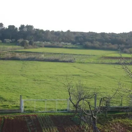 In Pula- Kroatien Mit Hohen Gaestebewertungen By Interhome Apartament *